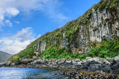 Auckland Island In this series on the New Zealand Sub-Antarctic Islands, I’ve written about Th