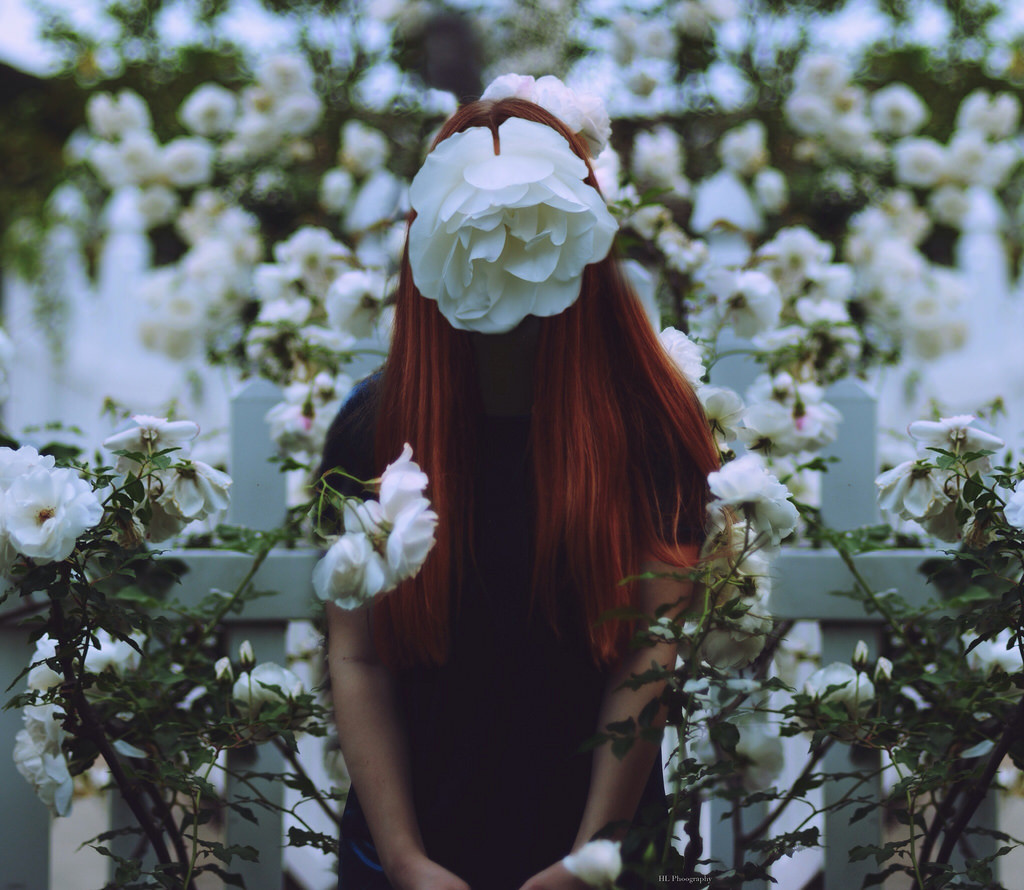 magic-spelldust:  In full bloom (by hannahlevin)
