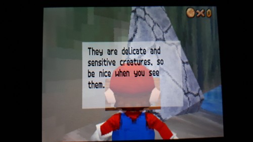 Why Does This Sign Talk About Luigi Like He's A Type Of Fairy