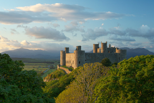 naturemetaltolkien:Castles of Wales:  Caernarfon, Caerphilly, Conwy, Harlech, Penrhyn, Raglan.