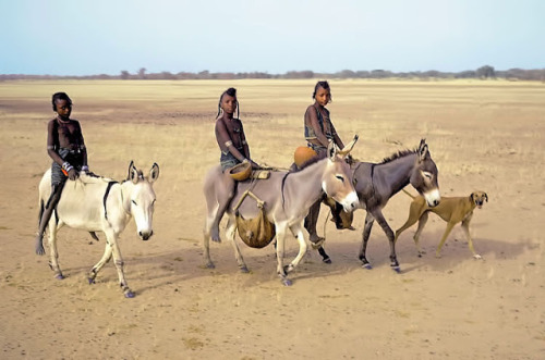 mysumb:  Sahel. Wodaabe nomad girls 