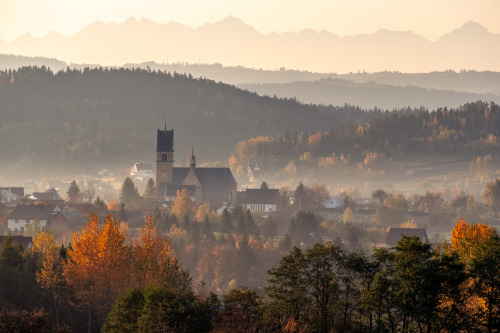 cmorga:Skomielna Biała, Poland