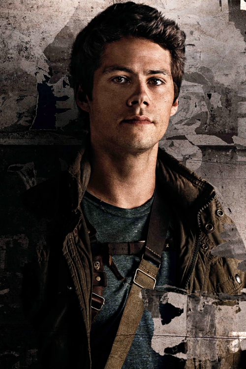 The plastron runner's Thomas (Dylan O'brien) in the maze