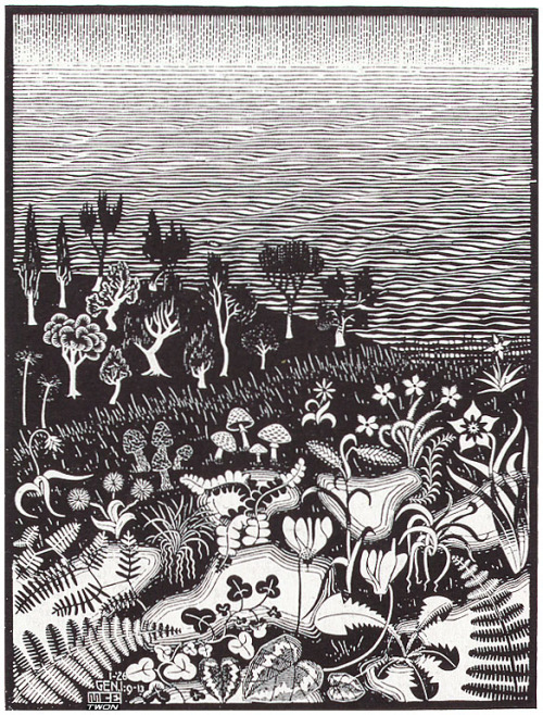 artist-mcescher:  The 3rd Day of the Creation,