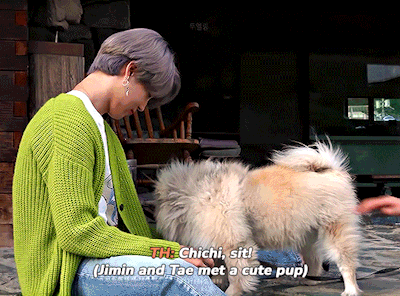 jiminswn:jimin and taehyung find a cute pup ♡[cr. dwellingsouls]+