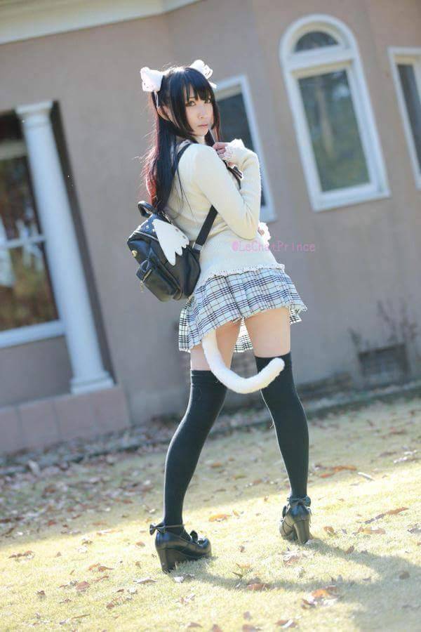 淲汪汪