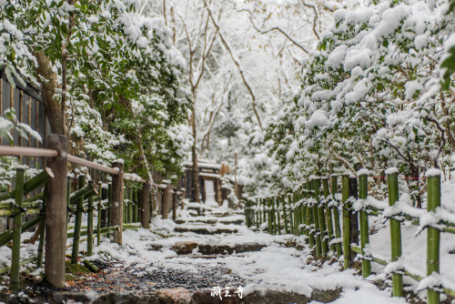 2014年の冬、初めての積雪 ①