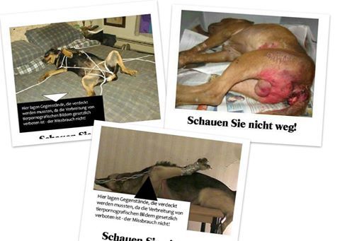 jotter-journal:  The terms bestiality and zoophilia are the formal names for a very sick and demented practice, which is having sex with animals for pleasure. Cases of these heinous acts against innocent animals are heard about with alarmingly-increasing