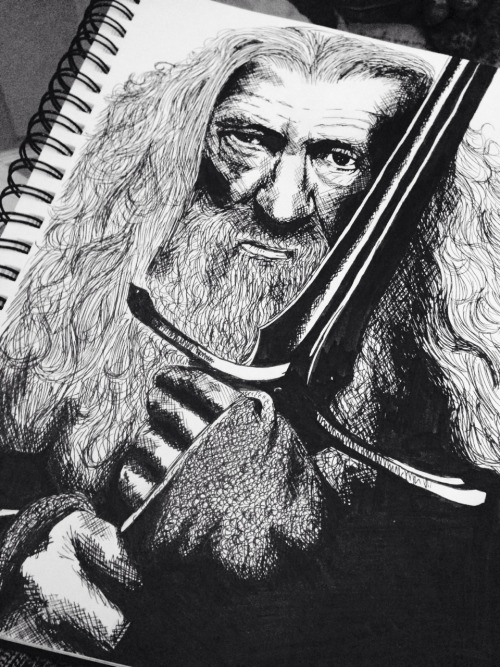 you-are-a-dick:  Gandalf 2.5 hours, Indian ink on paper (finished but I’ll probably add more to it later?)  So good
