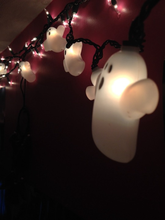 Halloween Haven Photo