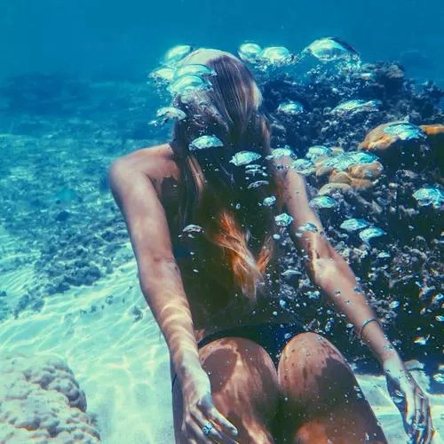 ❁ Mahalo ❁