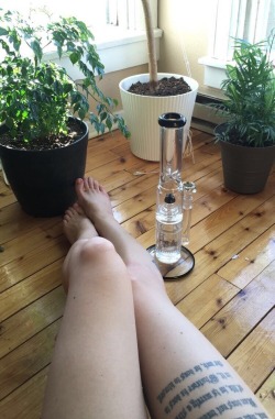 sagex420:I like my glass clean and my herb green 🌿👌🏻