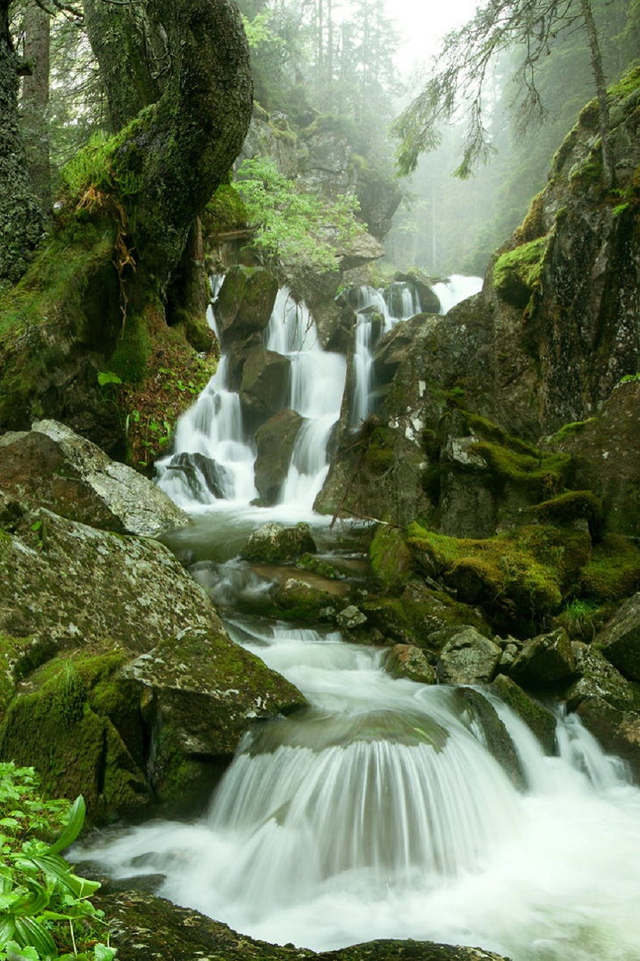 sublim-ature:  Retezat Mountains, RomaniaAdrian Borda 