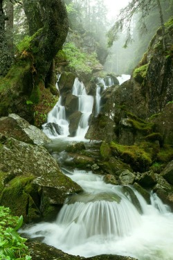 sublim-ature:  Retezat Mountains, RomaniaAdrian