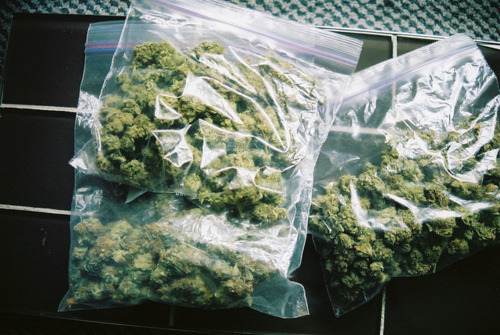 Another 420 Weed Blog