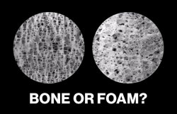 corporisfabrica:  ted:  One of these photos is of bone, the other is of cement foam. Which one is which? Yeah, we’re not that sure either. And that’s the point, says bone researcher David Pastorino, who — at TEDxBarcelona — shared how he and