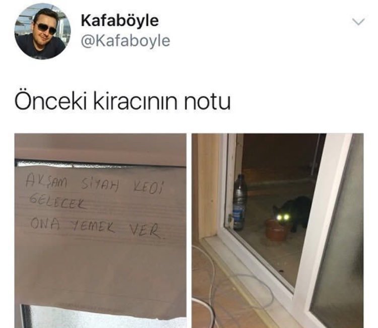 Kafaböyle
@Kafaboyle
Onceki...