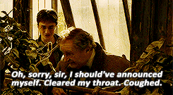 sunshineandrainbows-yer:  high harry was great 