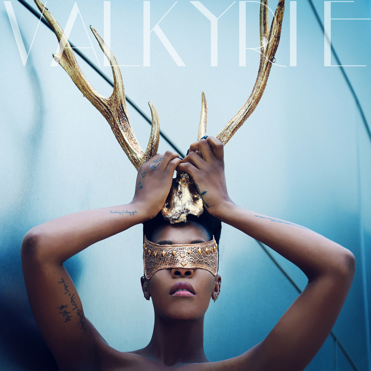 dawnrichard:  #Valkyrie