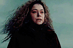 thecloneclub:  Daddy, how do they make babies? Do you like horse baby? Cow baby?