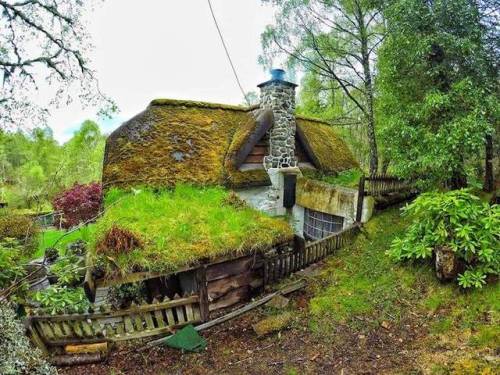 voiceofnature:  Whimsical hobbit house built by Stuart Grant. Located near Tomich, Scotland, he constructed his own real-life Hobbit house with a magical-looking outside and impressive interior. Built in the 1980s, the exterior of the home is completely