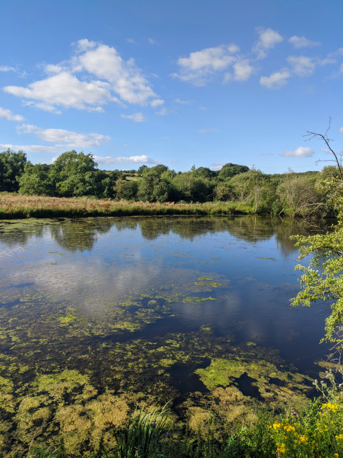 naturephotoportal