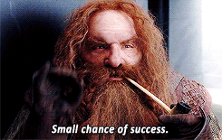 ganseyblues:  “There’s still hope for Frodo. He needs time, and safe passage across the Plains of Gorgoroth. We can give him that.” 