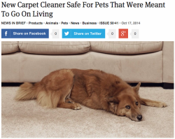 theonion:  New Carpet Cleaner Safe For Pets