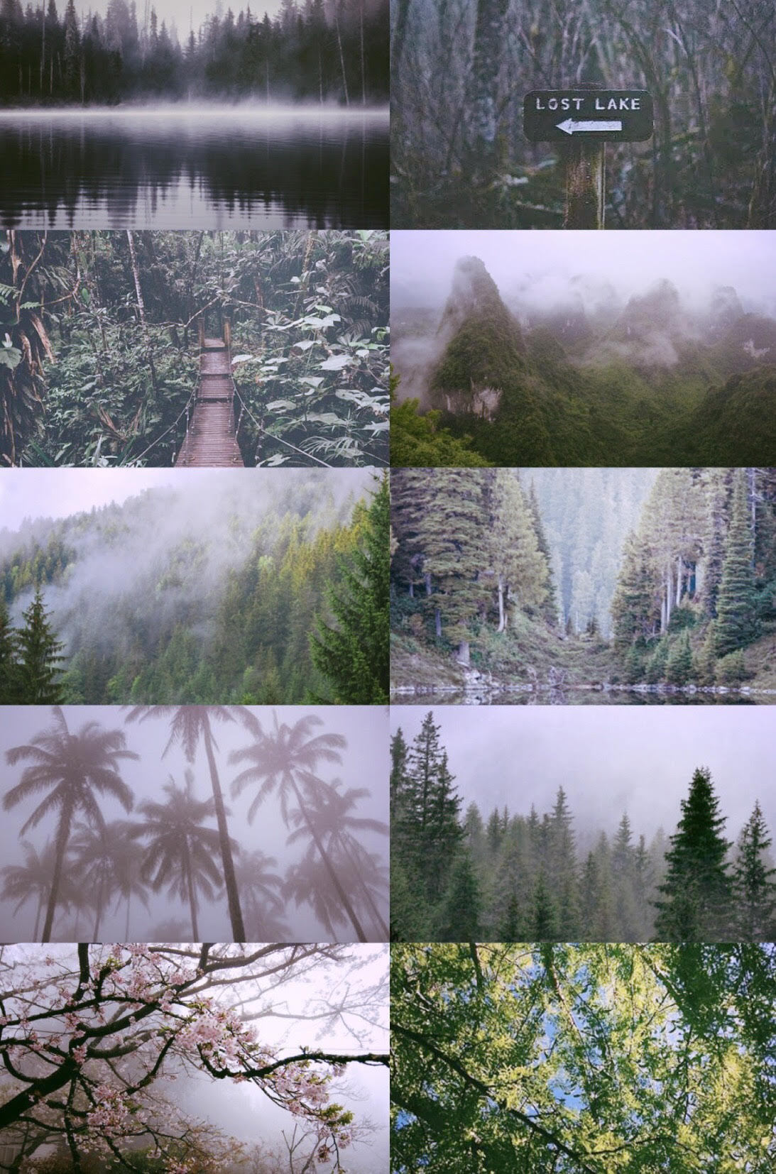 Requests Are Open Ï½†ï½ï½’ï½…ï½“ï½” Ï½ï½…ï½“ï½”ï½ˆï½…ï½”ï½‰ï½ƒ Like What You See Feel Free To