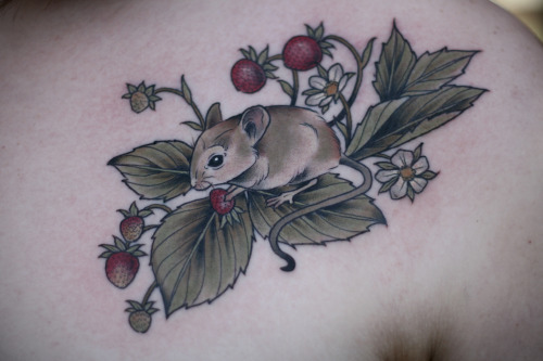 kirstenmakestattoos:Little mouse in a strawberry plant for Amanda’s mom, who collected little mouse 