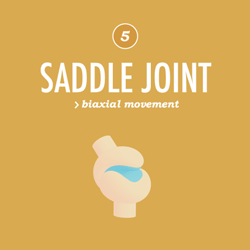 thought-cafe:  Some GIFs for you! From one of our favourite episodes of Crash Course