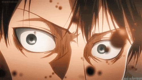 Levi's Eyes' Appreciation Post: