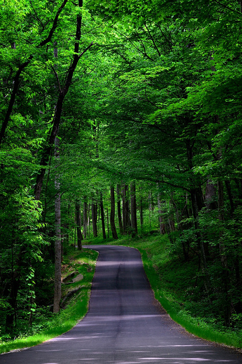 ponderation:  Road towards Rainbow falls by Saravanan Suriyanarayanan 