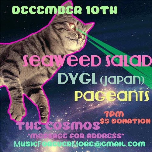 HOUSE SHOW ALERT @seaweedsaladmusic, @dayglotheband (Japan) and us, duh, will be breakin’ it d