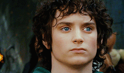 vanhoytls:  lotr meme: ten scenes → [1/10] “the depature of the fellowship”