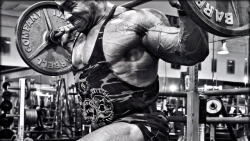 Best Bodybuilding Pics