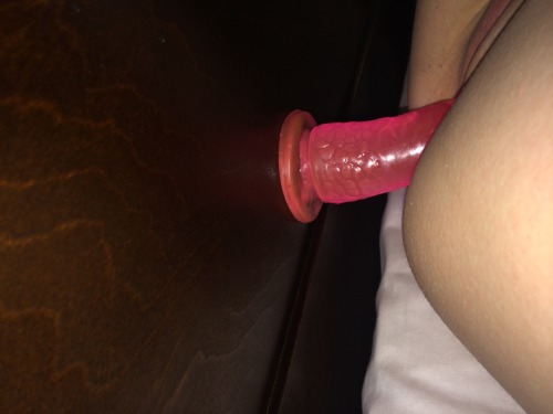 Porn photo jedsbunnyranch:  I love our suction cup jelly!