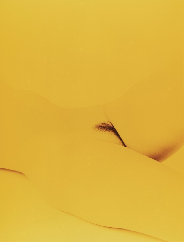 afrouif:  Mayumi Hosokura Line (y) 2015