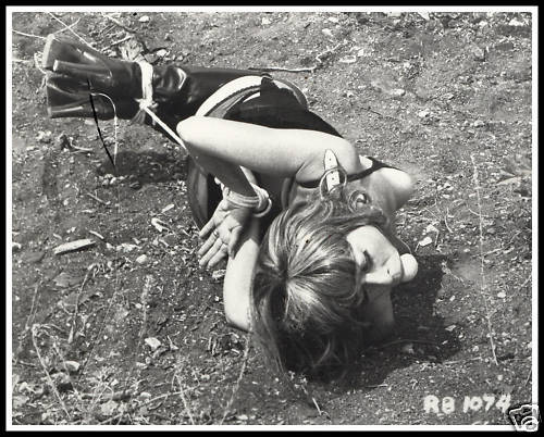 Vintage hogtie