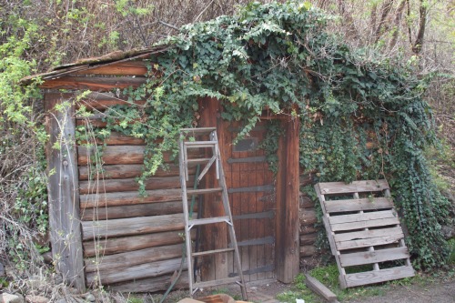 ROOT | CELLARBuried in the hillside opposite the kitchen door there’s a root cellar. The cellar wall