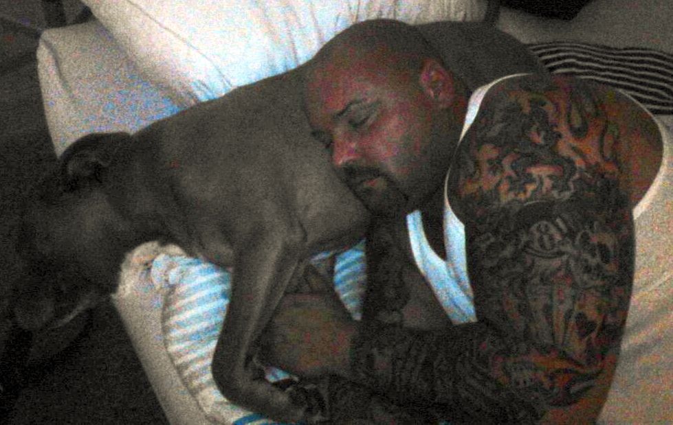 justbulls:  Lucky Dog 