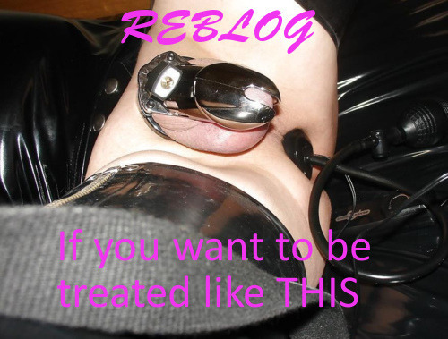 silkpantytrash: subted:wmshakespeare:mistress-athena: “Mistress Athena has a chastity device just fo