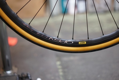 youcantbuyland: teamdreambicyclingteam: Return of The Ultimate Classic!  These new Mavic Open Pros a