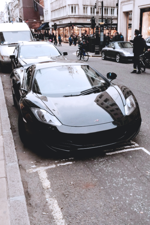 ivenkalil:  herpyderpyk:  ♛      (via TumbleOn)