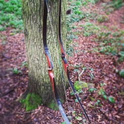 archeryadventures:  Just a couple of old