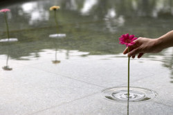 dominatemybody:  travelingcolors:   Floating Ripple Vases (by oodesign)   Fill your favorite container with water and float the vase. According to the movement of the air, the plants change their position within the container.     Omg so cool, I want