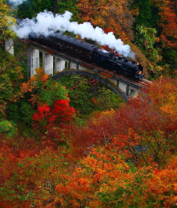 coiour-my-world:Autumn colors in Fukushima,