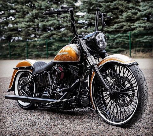 softailgram:  Follow 🔥 @softailgram 🔥