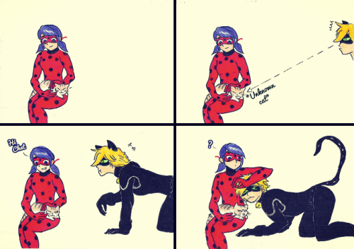heizuha:When your C(h)at is jealous  (=^・^=)  