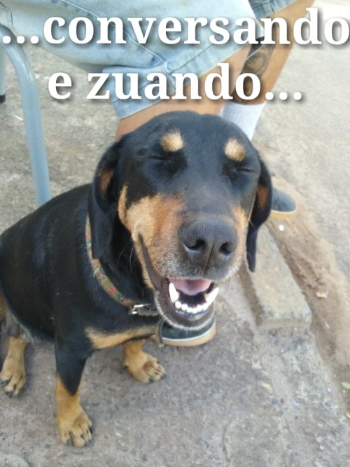 mebjaaa:  gente kkkk